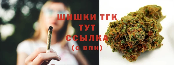 дурь Горно-Алтайск